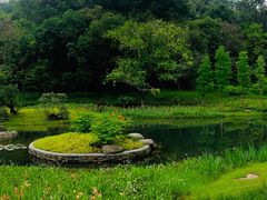 -云溪植物园