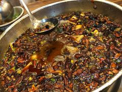 -黑竹香鸡(营和巷店)