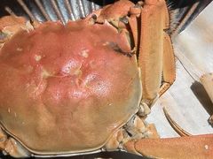 -匠和风精致料理(春熙路群光广场店)