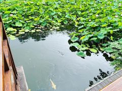 -北京民族园葉子里酒店(鸟巢店)