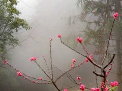 -九鲤湖风景区