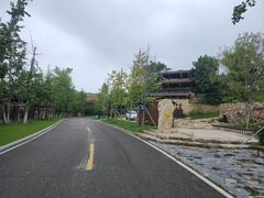 -黄陂区野村谷景区