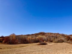 -塞罕坝国家级自然保护区