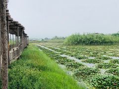 -处女泉风景名胜区