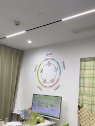 -凡碧诗毛孔清洁收细