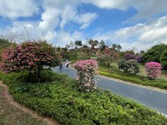 -东莞植物园
