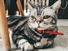 -小时光咖啡馆(北锣鼓巷店)