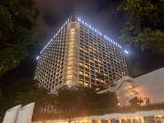 -新加坡文华东方酒店