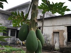 -梅溪牌坊