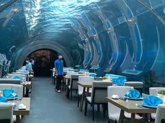 -涛·海底餐厅·美人鱼·自助餐·海底隧道(三亚海棠湾洲际度假酒店)