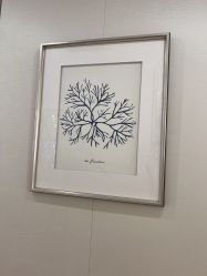 -茜尔维亚修身连锁(杨浦五角场店)