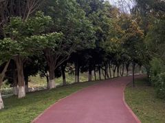 -两河城市森林公园