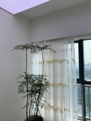 -HEYAN荷妍专业脱毛连锁机构