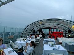 -Hi City·城市之巅