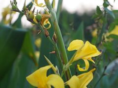 -苏州河梦清园环保主题公园