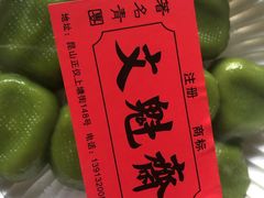 -文魁斋