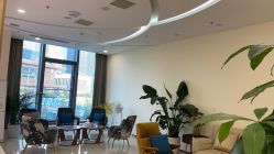 -小珂丽格医疗美容