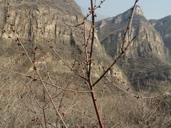-白水寺森林公园