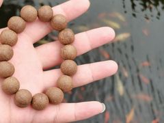 -上海财经大学-绿叶食堂