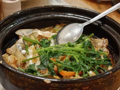 -松鹤山庄