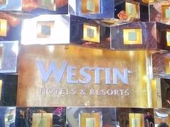 -天津君隆威斯汀酒店