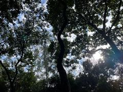 -广州市白云山风景名胜区