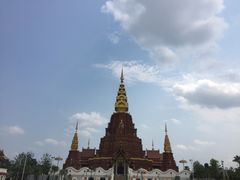 -纳兰傣雀傣味餐厅