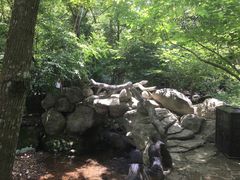 -花溪风景区
