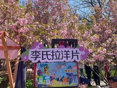 -长白岛森林公园