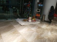 -一兆韦德健身(慧芝湖店)