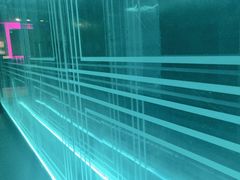 -Ton Ton吨吨小酒馆Live(观前街店)