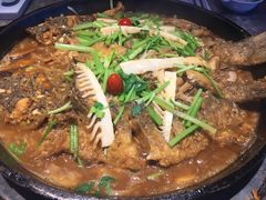 -老板恋上鱼(恒隆广场店)