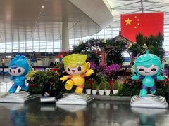 -温州龙湾国际机场