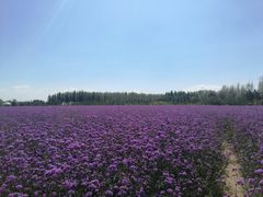 -赛汗塔拉风情园