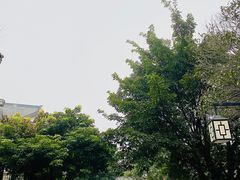 -龙潭水乡