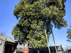 -龙泉寺