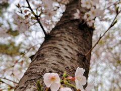 -苏州上方山国家森林公园