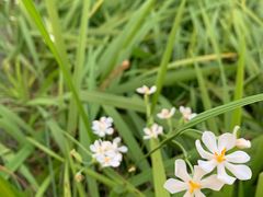 -广东中医药博物馆