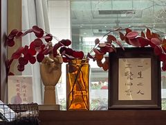 -肥朵食堂(带梦胡同店)