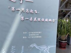 -辽宁古生物博物馆