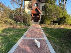 -云漫湖生态度假公园