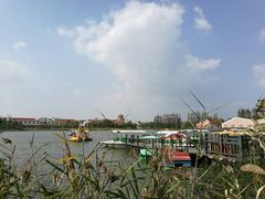 -上海长兴岛郊野公园