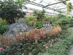 -南宫五洲植物乐园