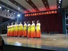-满天星花园