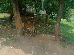 -西安秦岭野生动物园