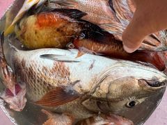 -小猫钓鱼海钓俱乐部(椰梦长廊店)