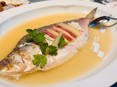-宁波柏悦酒店·钱湖渔港