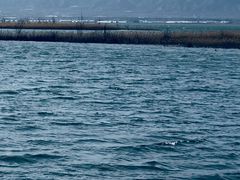 -野鸭湖国家湿地公园