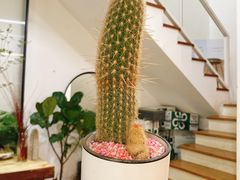 -森野花艺培训·企业团建活动沙龙