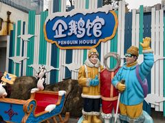 -海合安成都极地海洋公园
